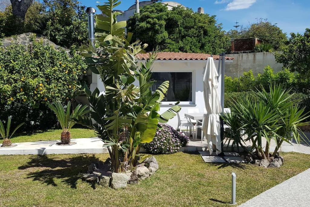 Casa Vacanza M&C Ischia Forio di Ischia 외부 사진