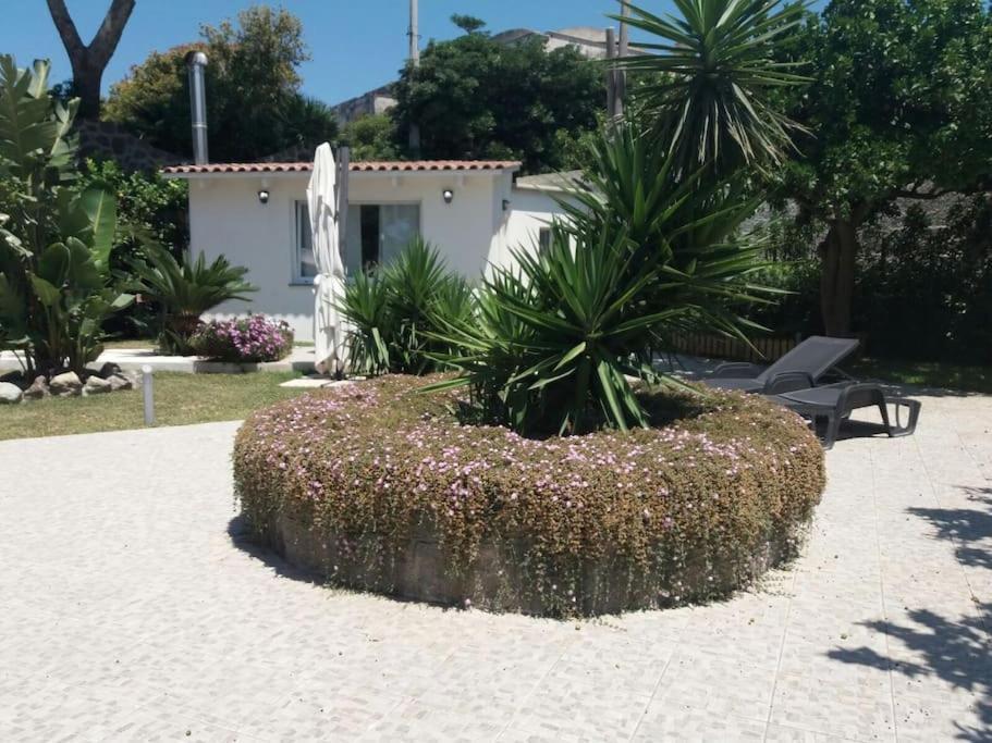 Casa Vacanza M&C Ischia Forio di Ischia 외부 사진