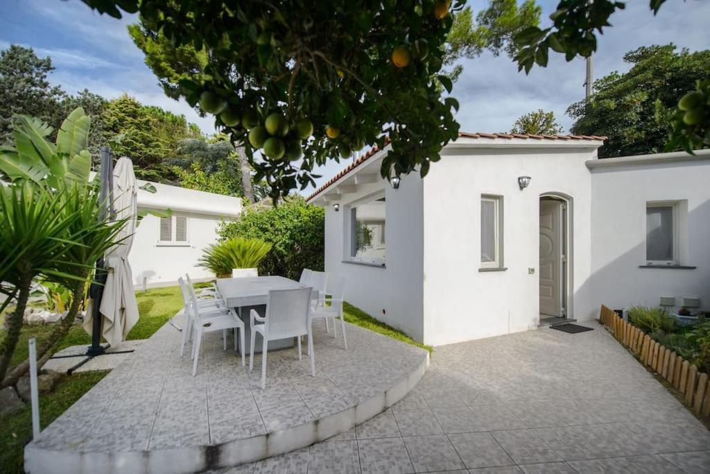 Casa Vacanza M&C Ischia Forio di Ischia 외부 사진